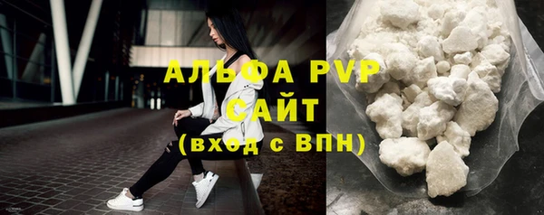 дурь Няндома