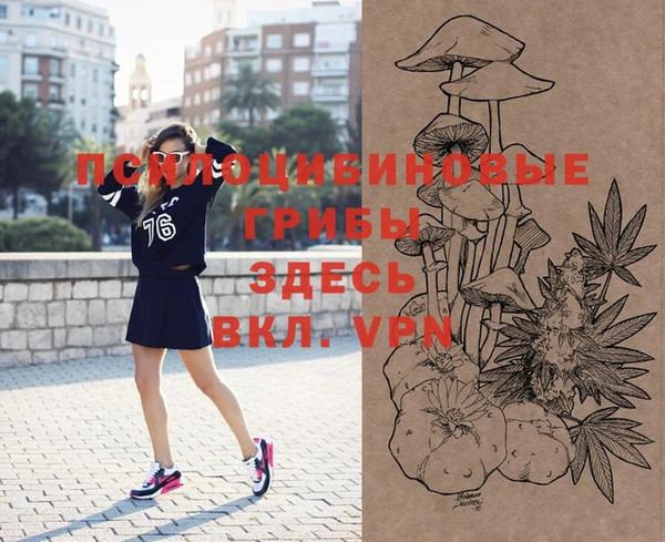 ешки Осташков