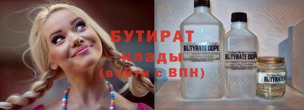 дурь Няндома
