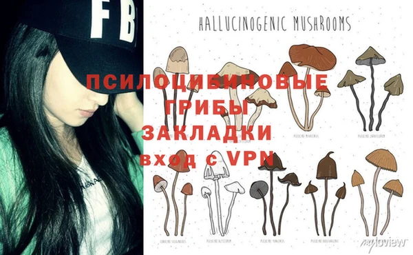 дурь Няндома