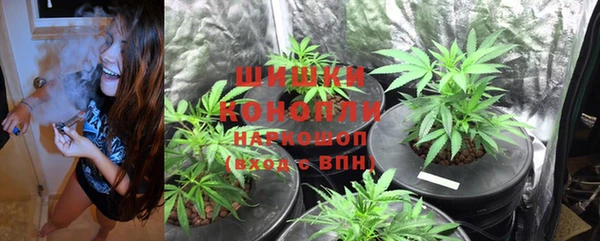 дурь Няндома