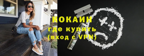 дурь Няндома