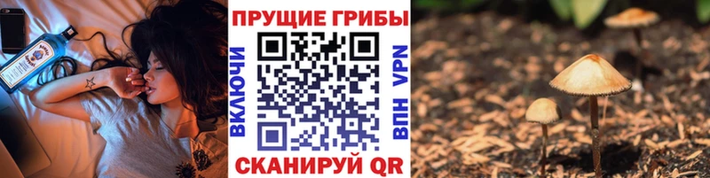 Псилоцибиновые грибы Magic Shrooms  Серафимович 